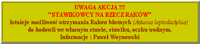 "Stawikowcy na rzecz rakw"