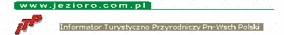 Logo witryny